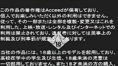 Dance, Dance Evolution A Review of the Best Ass Play, Hand Jobs and Limbo Dancing