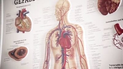 Medical Twinks Take Action with Big Cocks and Cum Shots - KTB