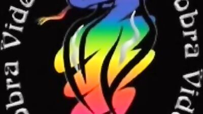 Austins Beach Buddies: A Cobra Video Production from 2001