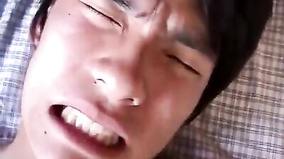 BIG ASIAN BOYS BODYBUILDING GAY SEX VIDEO