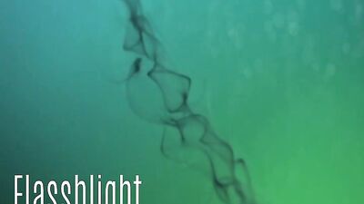 Swallowing Eleven Strangers: A Blowjob Adventure Gone Wrong!