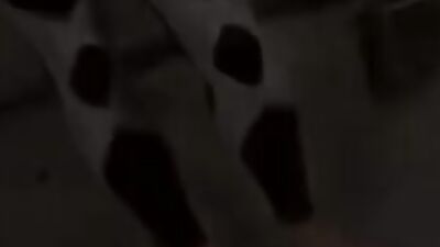 Mighty Tree Trunks: Muscular Asian Men Fucking Huge Cocks in Sexual Encounters