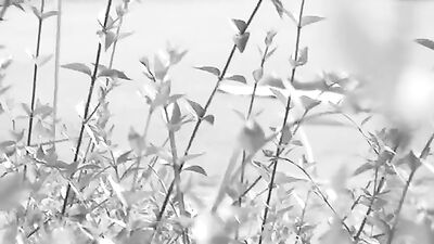 Musclebound Ikemen Get Fucked by Younger Men in Blue-Collar Sex