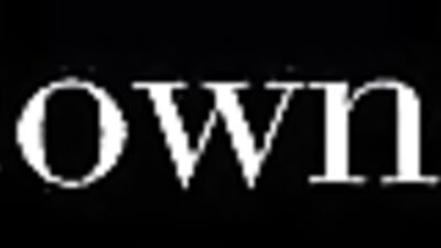 Bears and Kinky Fun: Amateur Teddy Bear Love-Making