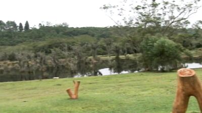 Muscle Latino Friends Bareback Fucking at Backyard