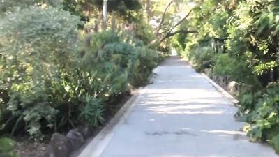 Young Studs Get Their Hands On Monster Dick In The Park