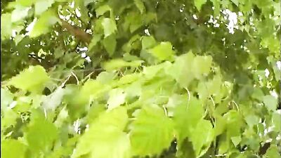 East Coast College Studs Go Wild in Bareback Action!