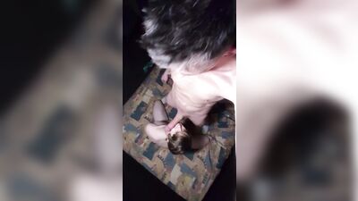 Handjob & Blowjob Amateurs: Every Day Delights!