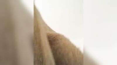 Rollercoaster: The Second Coming