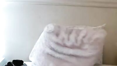 Purrfectly Pawsome: Wolfie and Kitty Go at it Like Tigers!