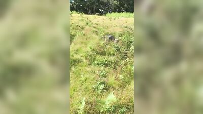 Amateur blonde boys suck and fuck in public