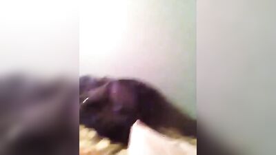 Redheads Get it On Live on Camera - Webcam Webcams