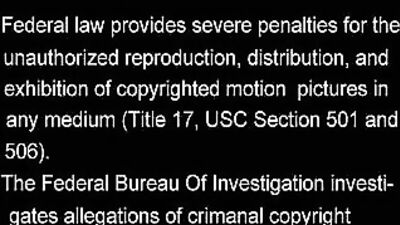 Pride of Lions: Stag Night Adventures