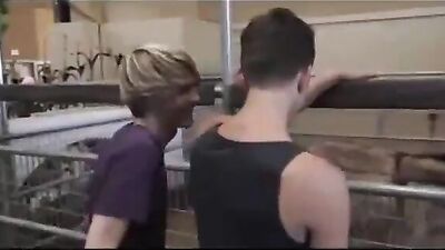 Twinks , Bareback