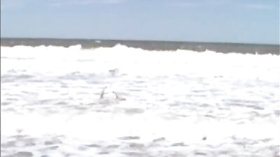 Beach Bromance: Thick Dicks and Hot Jizz