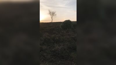 Air Dirty in the Park, Part 1