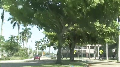 Facial Frenzy: Double-Stuffed Action Cumshots