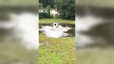 Straight Boy Fun - Blonde Stupidity