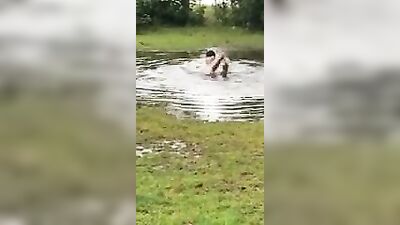 Straight Boy Fun - Blonde Stupidity