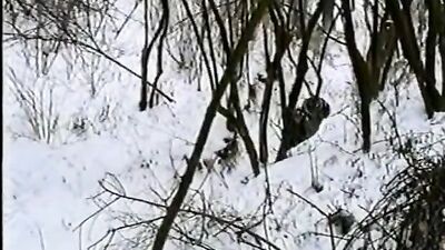 Sexy Studs Uncut: Raw and Rough Bareback Blowjob Scenes