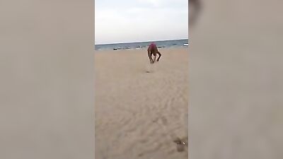 Straight and Beautiful - A Day at the Beach with Big, Black Cocks
