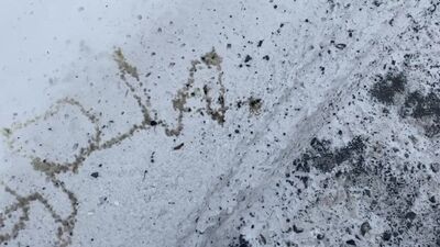 Amateur Twink Brian Public Urination Spelling Name in Snow