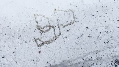 Amateur Twink Brian Public Urination Spelling Name in Snow