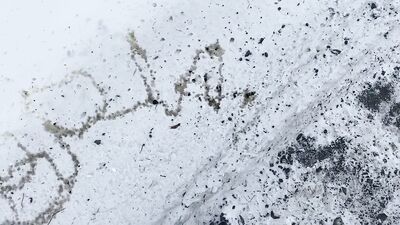 Amateur Twink Brian Public Urination Spelling Name in Snow