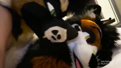 TWINK FURRY FUCKS FURSUITER RAW