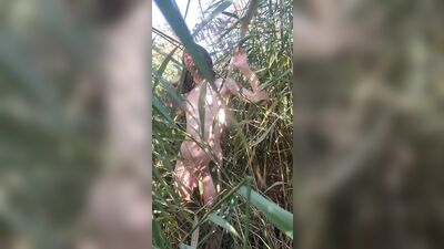 Skinny naked twink in the reeds showing his cock