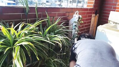 Gay Porn - Sexy Amateur Asian Twink Boys Couple Bareback Tube OR Asian Twink Boys Bareback Fever in Gay Porn