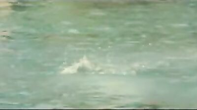 Sexual Dreams: A Gay Porn Adventure