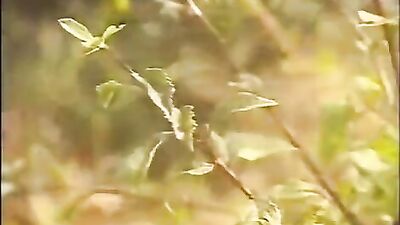 Outdoor Scouting Action Group Sex Oral Adventure