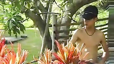 Gardeners Latino Adventure: The Return