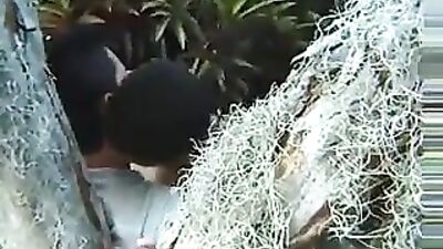 Gardeners Latino Adventure: The Return