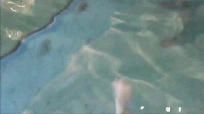 Gay Porn Party Time: Action Bareback Group Sex!