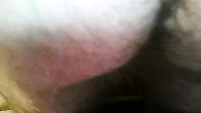 A Nice Cock: The Amateur Biggest Handjob Collection!