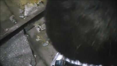 Young guy sucking my cock and swallowing my cum - Cum Shots Fetish Oral 190 characters