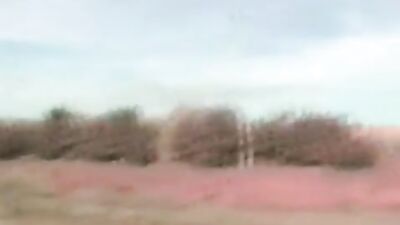 Latino Cum Shots: Brazilian Hot Truckers!