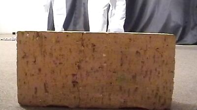 Martial Arts Really! Gay Porn Video: Explosive Action in the Ring!