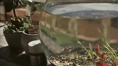 Love in Korea: A Gay Porn Adventure!