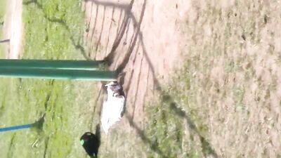 Monkey Playtime: Fun Filled Gay Porn Adventure