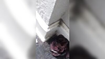 Twink gaming fucked with toy