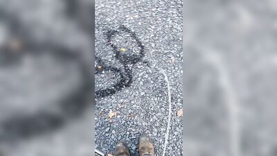 Limp Dick Twink Tries To Spell His Name Outdoor Public Pissing Peeing Urination