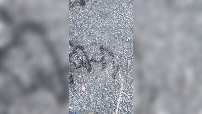 Limp Dick Twink Tries To Spell His Name Outdoor Public Pissing Peeing Urination