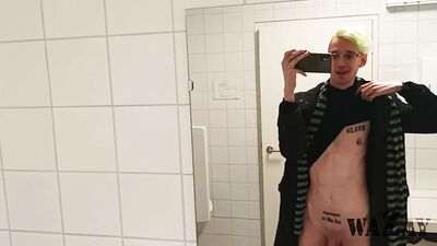 Univeristy exhib toilet fag ????