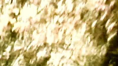 Young German Stallions - Action Vintage!