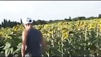 Gay Arab Bareback Field Boys: Explore the Wild Side of Desert Pleasures!