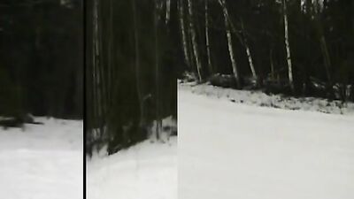 Laid Back Bareback Delight: A Gay Porn Adventure