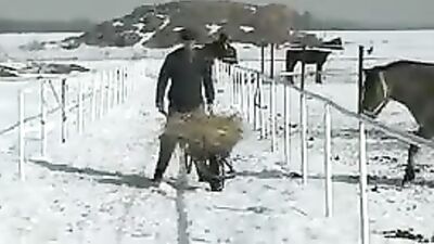 Still A Farmers Virgin: Action Packed Gay Porn